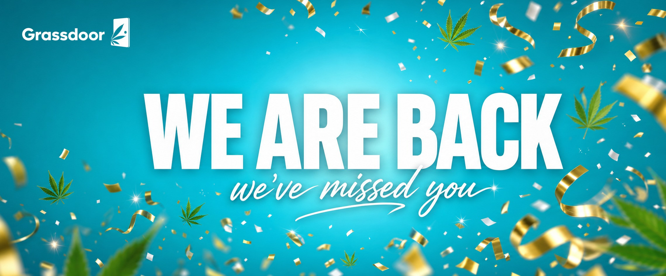 We are back banner
