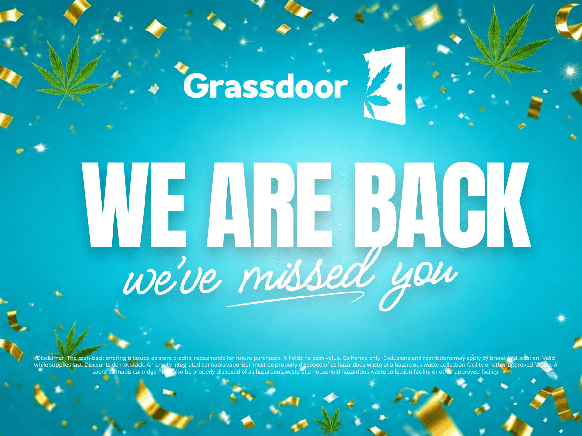 We are back banner