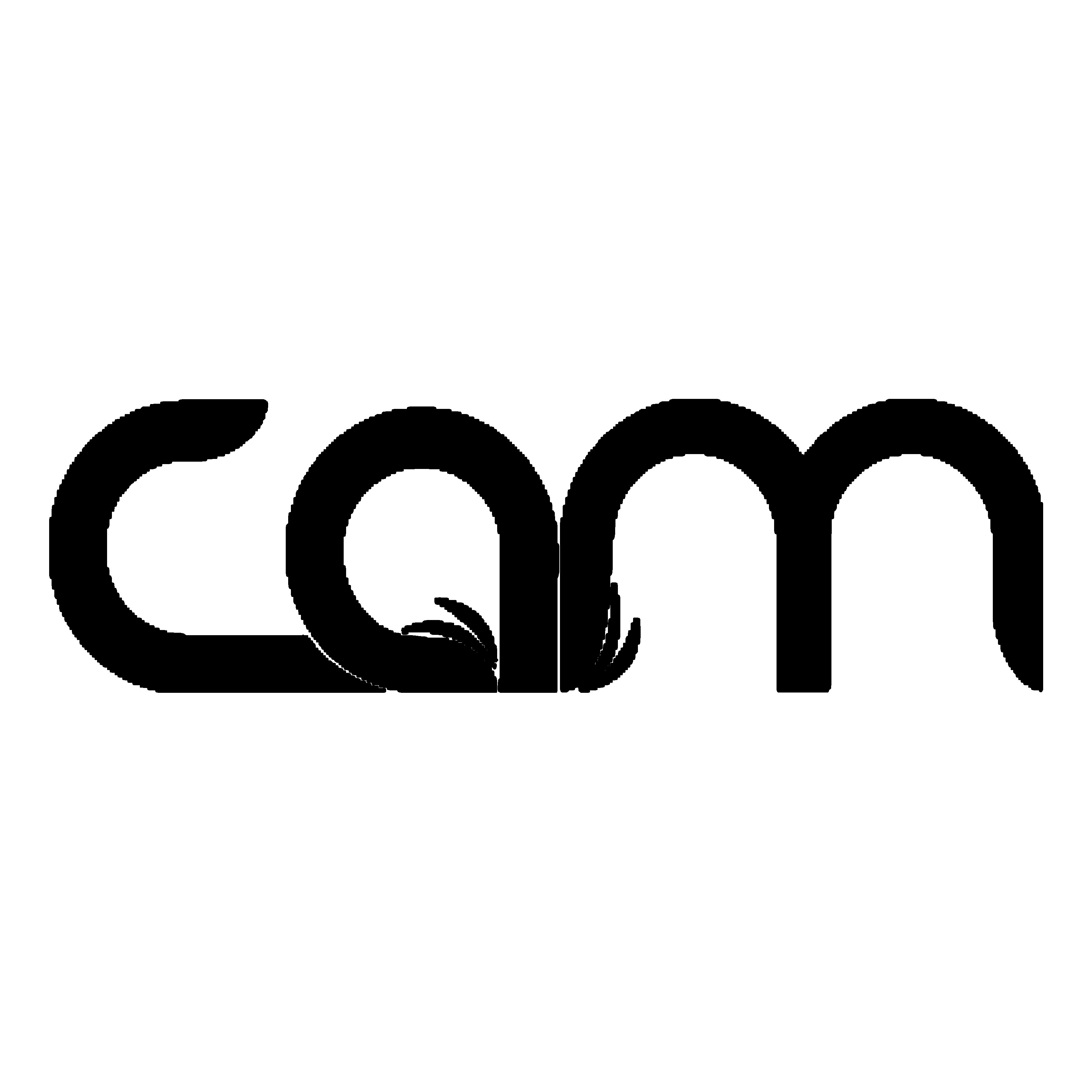 CAM